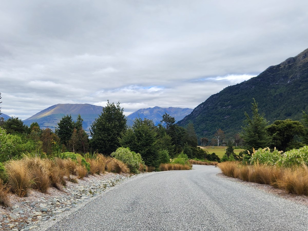 Umbraco.Web.PublishedCache.NuCache.Property