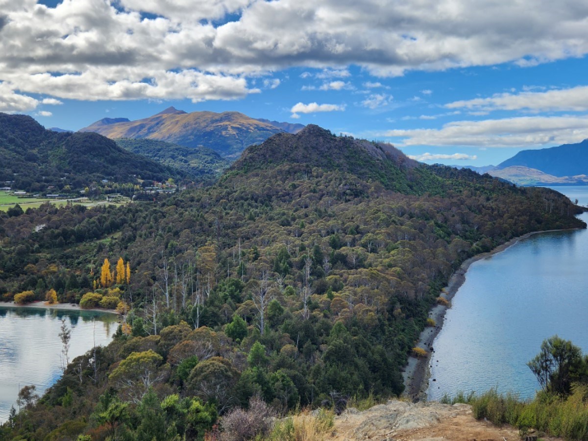 Umbraco.Web.PublishedCache.NuCache.Property